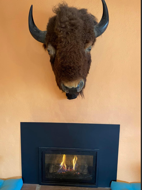 Mounted bison head above the fireplace in the peach adobe dining room