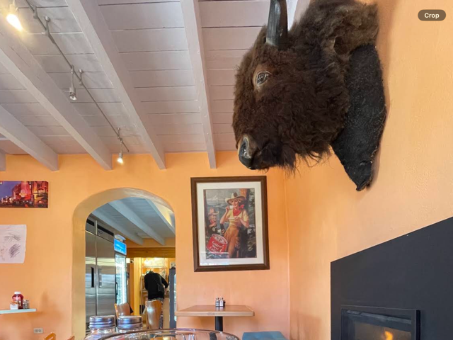 Mounted bison head on the peach adobe wall above the dining room fireplace